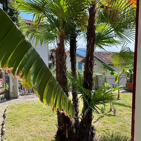 Franziska's Place - View *
